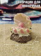 Купить Декорация для аквариума и террариума Ракушка с жемчужиной ZooAqua 5х6х6 см