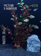 Купить Искусственное растение для аквариума и террариума ZooAqua S1216, 30 см