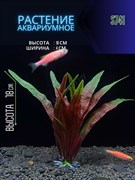 Купить Искусственное растение для аквариума ZooAqua, керамика и пластик, 18x4x3 см