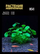 Купить Искусственное растение для аквариума ZooAqua M541, пластик и керамика, 12x12 см, зелёное