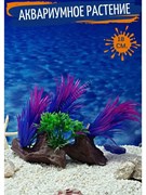 Купить Искусственное растение для аквариума ZooAqua "Куст с корягой", пластик, 18x16x6 см, фиолетовое, зелёное, синее, коричневое