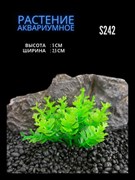 Купить Искусственное растение для аквариума ZooAqua S242, 2.5x5 см, керамика, пластик