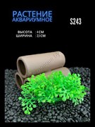 Купить Искусственное растение для аквариума ZooAqua S243, 2.5x4 см, керамика, пластик