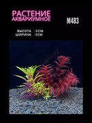 Купить Искусственное растение для аквариума ZooAqua M483, 13x8 см, керамика, пластик, желтый-бордовый-салатовый-фиолетовый