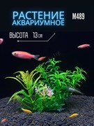 Купить Искусственное растение для аквариума ZooAqua M489, 13x8x5 см, керамика, пластик, салатовый-зеленый-светло-розовый