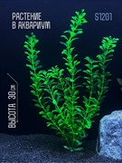 Купить Искусственное растение для аквариума ZooAqua S1201, 30 см, керамика, пластик