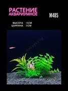 Купить Искусственное растение для аквариума ZooAqua M485, 13x8 см, желтый, зеленый