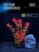 Купить Искусственное растение для аквариума ZooAqua S803 20 см, керамика и пластик