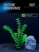 Купить Искусственное растение для аквариума ZooAqua S807, 20 см, керамика и пластик