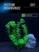 Купить Искусственное растение для аквариума ZooAqua S811, 20 см, керамика и пластик