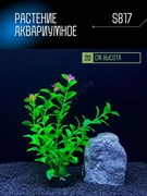 Купить Искусственное растение для аквариума S817 ZooAqua, 20 см, керамика и пластик