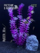 Купить Искусственное растение для аквариума S1212 ZooAqua, 30 см, керамика и пластик