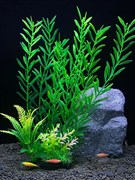Купить Искусственное растение для аквариума ZooAqua C-1155 8x5x28 см, керамика и пластик