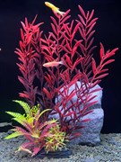 Купить Искусственное растение для аквариума ZooAqua C-1156 8x5x28 см, керамика и пластик