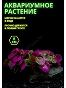 Купить Искусственное растение с корягой для аквариума и террариума ZooAqua 8x12 см, пластик, фиолетовый и зеленый