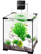 Купить Аквариум кубический Biodesign Q-Scape 10, 10 л, 22×22×25 см, силикатное стекло Pilkington Optifloat