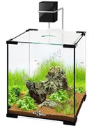 Купить Аквариум кубический Biodesign Q-Scape 6.5, 6,5 л, 19×19×23 см, силикатное стекло Pilkington Optifloat, 4 мм