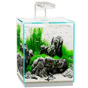 Купить Аквариум Biodesign Q-Scape Opti 10, 10 л, 22×22×26 см, стекло Pilkington Optiwhite™, 4 мм