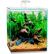 Купить Аквариум Biodesign Q-Scape Opti 50, 50 л, 37×37×42 см, стекло Pilkington Optiwhite™, 4 мм