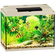 Купить Аквариум Biodesign Классик 20, силикатное стекло Pilkington Optifloat™, 4 мм, 22 л, 40х22х33 см, LED светильник, белёный дуб