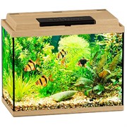 Купить Аквариум Biodesign Классик 20, силикатное стекло Pilkington Optifloat™, 4 мм, 22 л, 40х22х33 см, LED светильник, бук