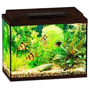 Купить Аквариум Biodesign Классик 20, силикатное стекло Pilkington Optifloat™, 4 мм, 22 л, 40х22х33 см, LED светильник, венге