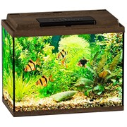 Купить Аквариум Biodesign Классик 20, силикатное стекло Pilkington Optifloat™, 4 мм, 22 л, 40х22х33 см, LED светильник, золотой орех