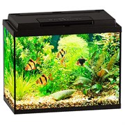 Купить Аквариум Biodesign Классик 20, силикатное стекло Pilkington Optifloat™, 4 мм, 22 л, 40х22х33 см, LED светильник, черный