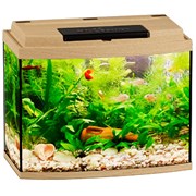 Купить Аквариум Biodesign Классик 20R, силикатное стекло Pilkington Optifloat™, 4 мм, 21 л, 40х22х33 см, LED светильник, бук