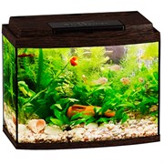 Купить Аквариум Biodesign Классик 20R, силикатное стекло Pilkington Optifloat™, 4 мм, 21 л, 40х22х33 см, LED светильник, венге