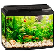 Купить Аквариум Biodesign Классик 20R, силикатное стекло Pilkington Optifloat™, 4 мм, 21 л, 40х22х33 см, LED светильник, черный