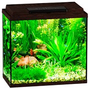 Купить Аквариум Biodesign Классик 30, силикатное стекло Pilkington Optifloat™, 4 мм, 28 л, 40х22х39 см, LED светильник, венге