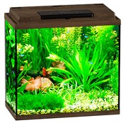 Купить Аквариум Biodesign Классик 30, силикатное стекло Pilkington Optifloat™, 4 мм, 28 л, 40х22х39 см, LED светильник, золотой орех