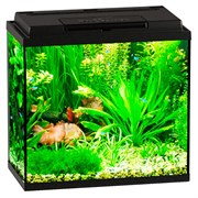 Купить Аквариум Biodesign Классик 30, силикатное стекло Pilkington Optifloat™, 4 мм, 28 л, 40х22х39 см, LED светильник, черный