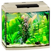 Купить Аквариум Biodesign Классик 30R, силикатное стекло Pilkington Optifloat™, 4 мм, 27 л, 40х22х39 см, LED светильник, белёный дуб