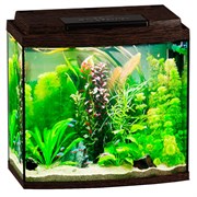 Купить Аквариум Biodesign Классик 30R, силикатное стекло Pilkington Optifloat™, 4 мм, 27 л, 40х22х39 см, LED светильник, венге