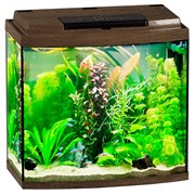 Купить Аквариум Biodesign Классик 30R, силикатное стекло Pilkington Optifloat™, 4 мм, 27 л, 40х22х39 см, LED светильник, золотой орех