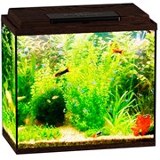 Купить Аквариум Biodesign Классик 40, силикатное стекло Pilkington Optifloat™, 4 мм, 39 л, 45х25х42 см, LED светильник, венге