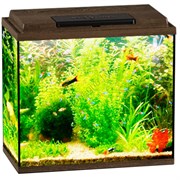 Купить Аквариум Biodesign Классик 40, силикатное стекло Pilkington Optifloat™, 4 мм, 39 л, 45х25х42 см, LED светильник, золотой орех