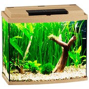 Купить Аквариум Biodesign Классик 40R, силикатное стекло Pilkington Optifloat™, 4 мм, 38 л, 45х25х42 см, LED светильник, бук