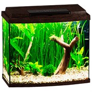 Купить Аквариум Biodesign Классик 40R, силикатное стекло Pilkington Optifloat™, 4 мм, 38 л, 45х25х42 см, LED светильник, венге