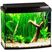Купить Аквариум Biodesign Классик 40R, силикатное стекло Pilkington Optifloat™, 4 мм, 38 л, 45х25х42 см, LED светильник, черный