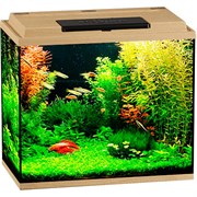 Купить Аквариум Biodesign Классик 50, силикатное стекло Pilkington Optifloat™, 4 мм, 55 л, 50х29х45 см, LED светильник, бук