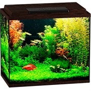 Купить Аквариум Biodesign Классик 50, силикатное стекло Pilkington Optifloat™, 4 мм, 55 л, 50х29х45 см, LED светильник, венге