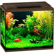 Купить Аквариум Biodesign Классик 50, силикатное стекло Pilkington Optifloat™, 4 мм, 55 л, 50х29х45 см, LED светильник, золотой орех