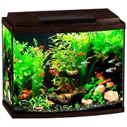 Купить Аквариум Biodesign Классик 50R, силикатное стекло Pilkington Optifloat™, 4 мм, 53 л, 50х29х45 см, LED светильник, венге