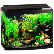 Купить Аквариум Biodesign Классик 50R, силикатное стекло Pilkington Optifloat™, 4 мм, 53 л, 50х29х45 см, LED светильник, черный
