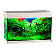 Купить Аквариум Biodesign Altum 135, силикатное стекло Pilkington Optifloat™, 6 мм, 135 л, 81x38x53 см, шторка для автокормушки, белёный дуб