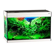 Купить Аквариум Biodesign Altum 135, силикатное стекло Pilkington Optifloat™, 6 мм, 135 л, 81x38x53 см, шторка для автокормушки, белый