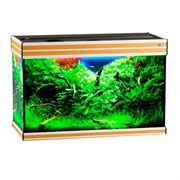 Купить Аквариум Biodesign Altum 135, силикатное стекло Pilkington Optifloat™, 6 мм, 135 л, 81x38x53 см, шторка для автокормушки, бук